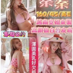 苗栗定點茶 蓁蓁 援交