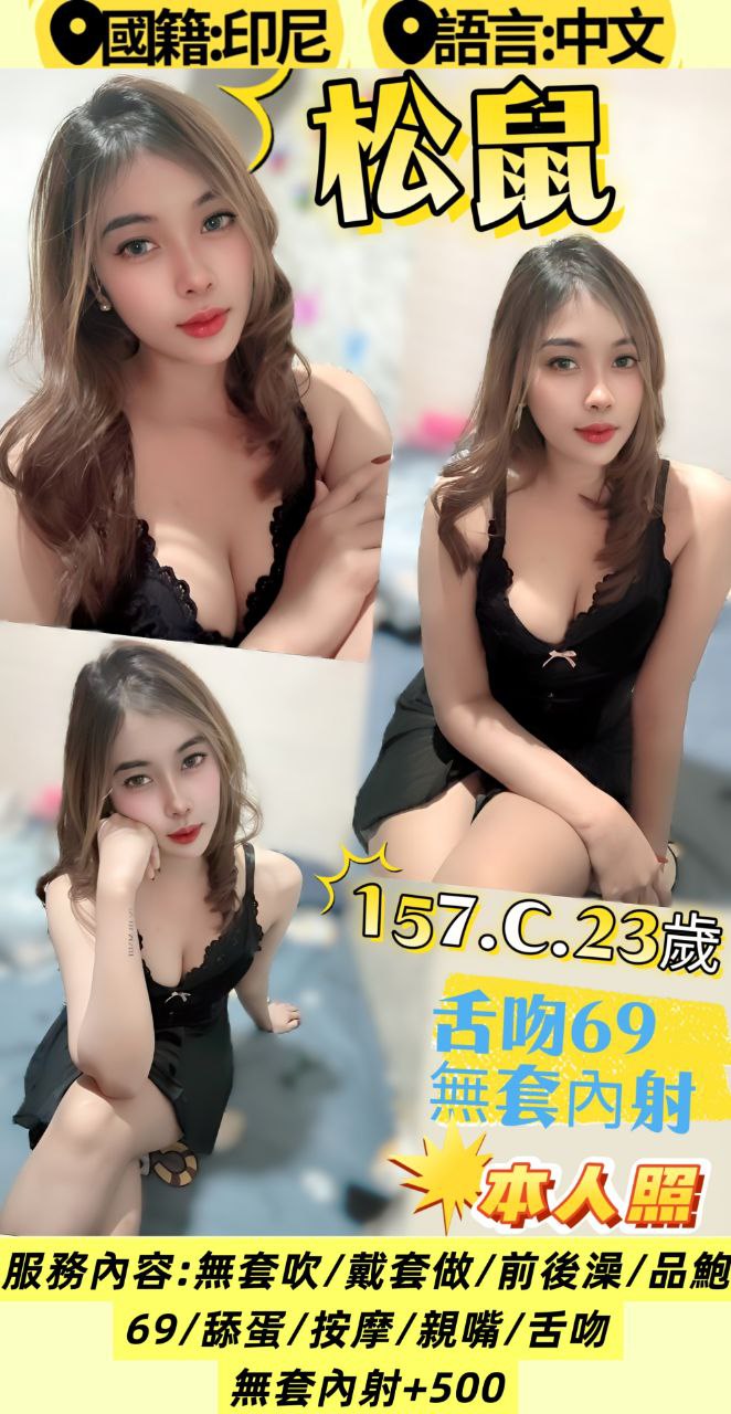 新北定點茶 松鼠 援交