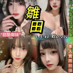 台北定點茶 雛田 援交