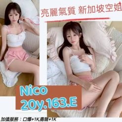 台北/新北外送茶 Nico 援交
