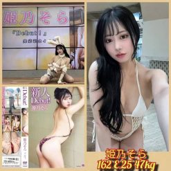台北外送茶 姫乃そら 援交