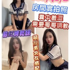 彰化定點茶 小淘氣 援交