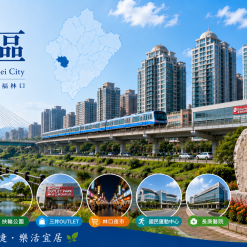 林口定點茶