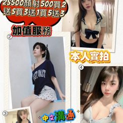 苗栗定點茶 比熊 援交