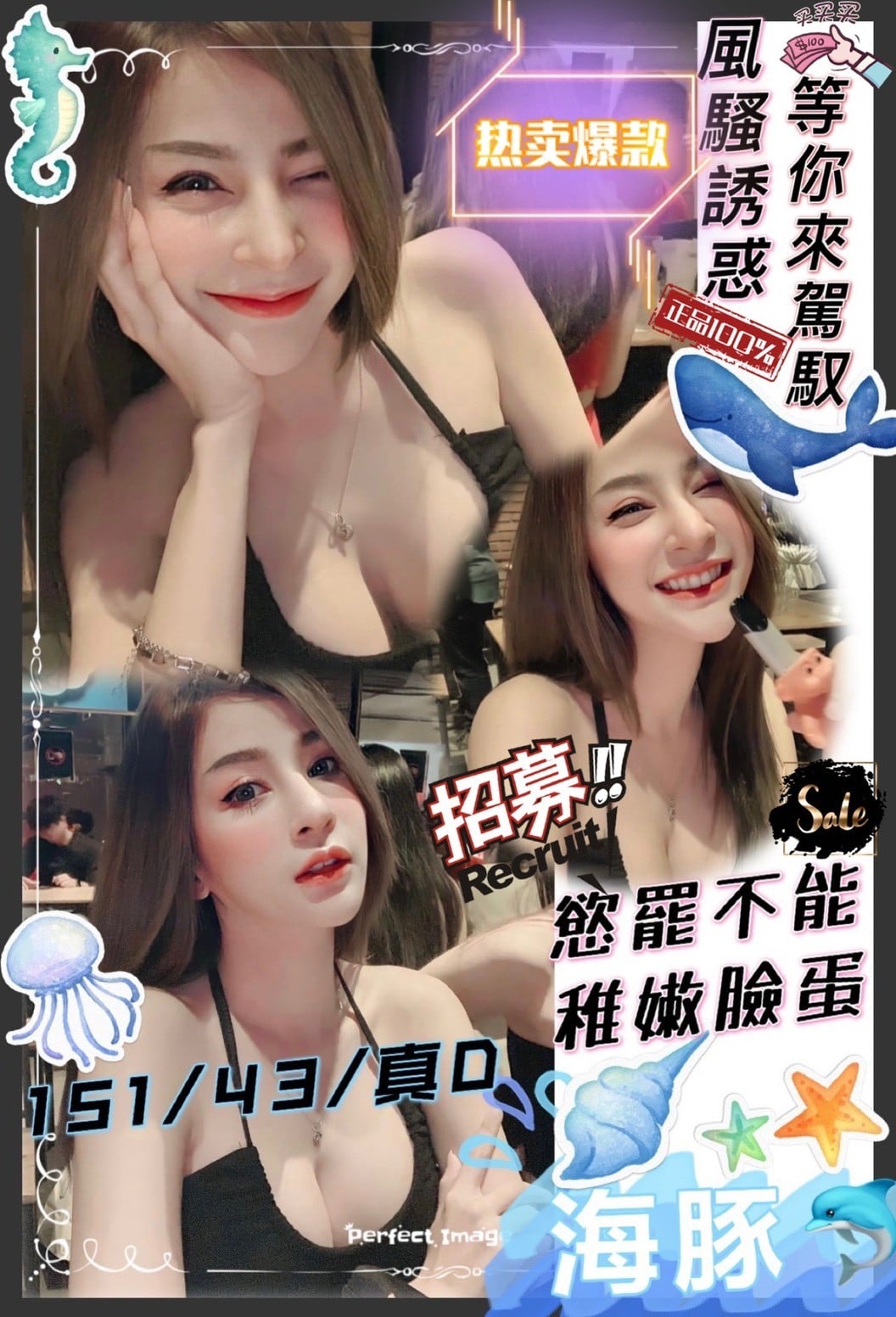 新竹定點茶 海豚 援交