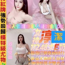 台中定點茶 淳潔 援交