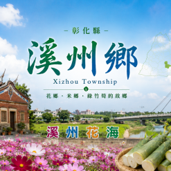 溪州定點茶