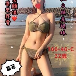 台中外送茶 菲菲 援交