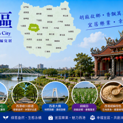 台南-西港定點茶