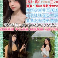 台北定點茶 韓艾匠 援交