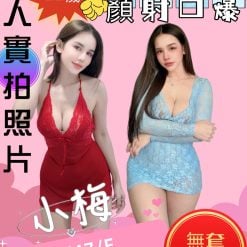 小梅 苗栗竹南定點茶