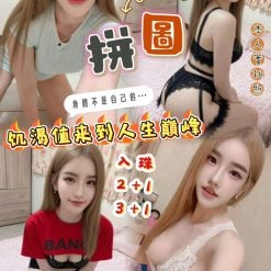 拼圖 新竹東區定點茶