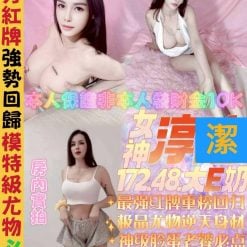 台中定點茶 淳潔 援交