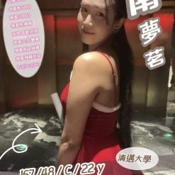 南夢茗 新竹竹北定點茶