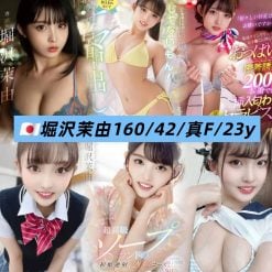 台北/新北外送茶 堀沢茉由 援交
