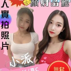 小派 苗栗頭份定點茶
