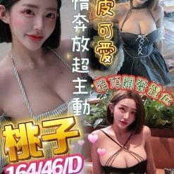 桃子 屏東市區定點茶