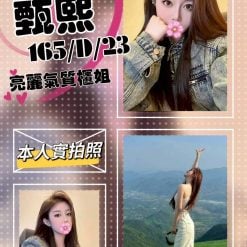 台北/新北外送茶 甄熙 援交