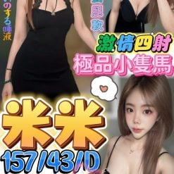 屏東定點茶 米米 援交