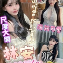 林安 屏東市區外送茶