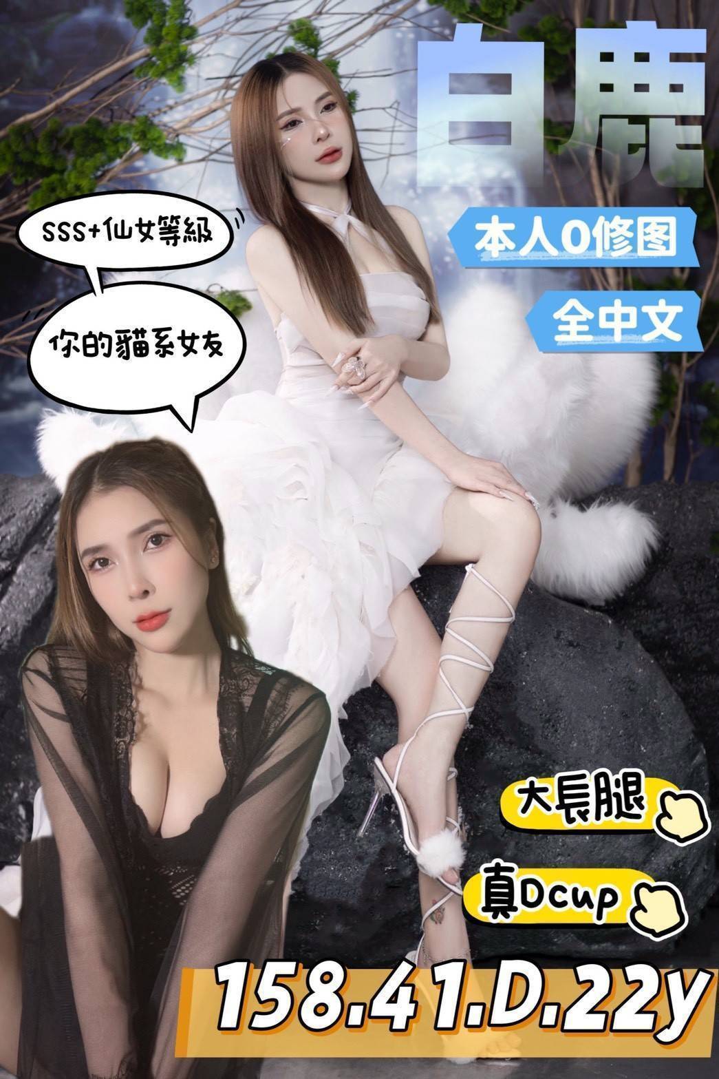 白鹿 台南市安南區定點茶